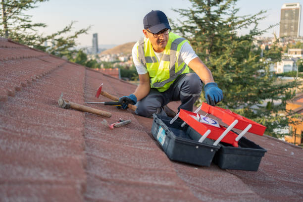 Best Historical Building Siding Restoration  in Lone Star, TX